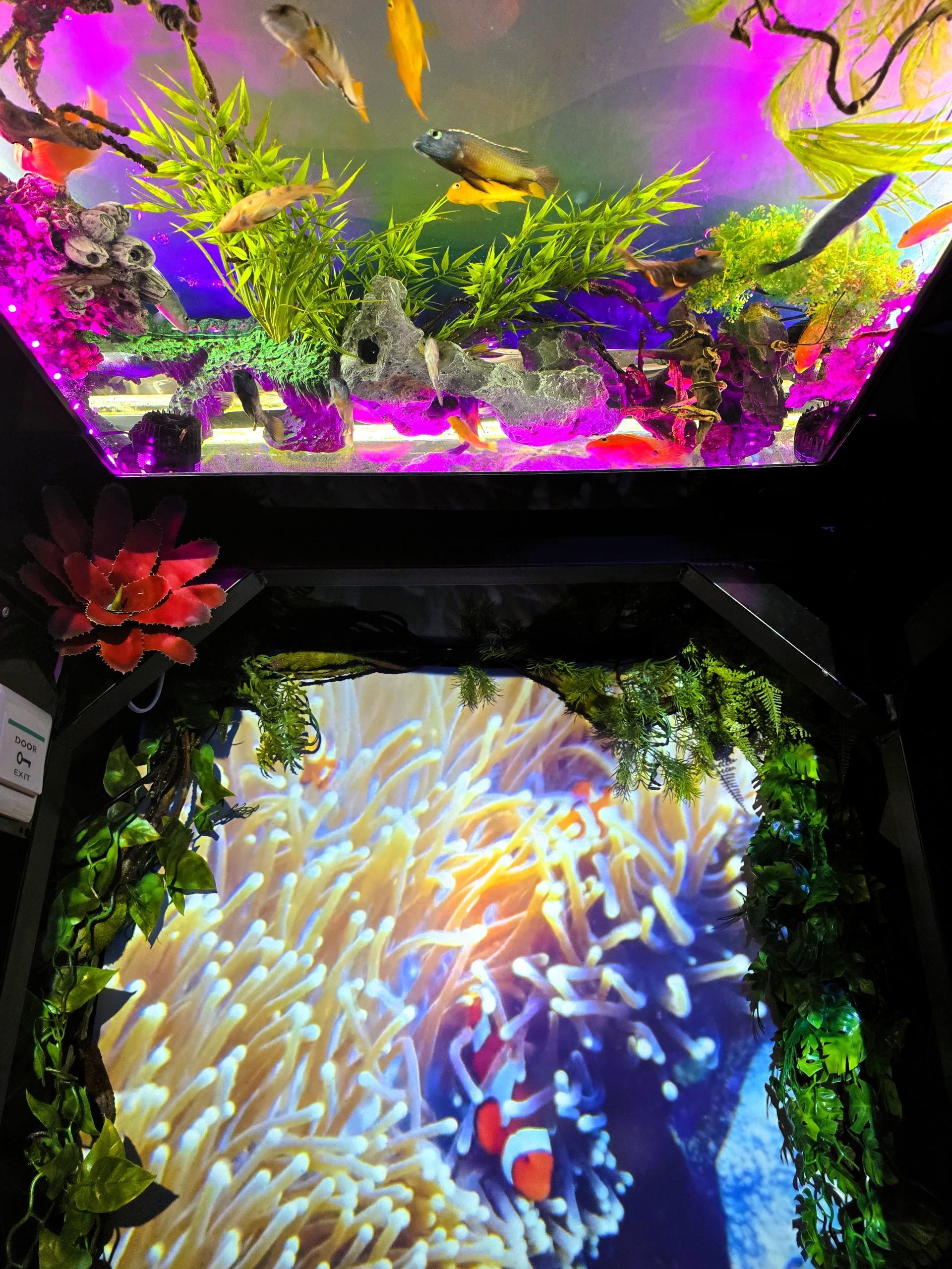 Aquarium project by ATL Location 3
